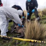 Cóndor Andino fue hallado sin vida en el parque nacional